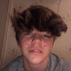 Meet your Posher, Dylan